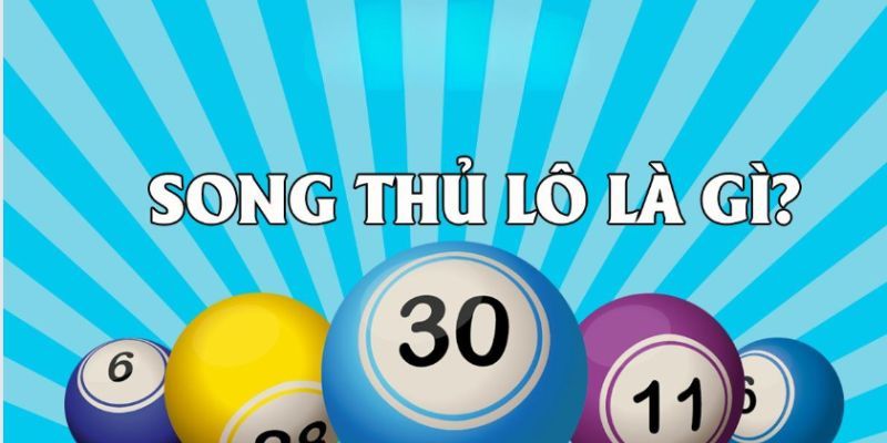 Giới thiệu thông tin về phương pháp nuôi song thủ lô tại ST666