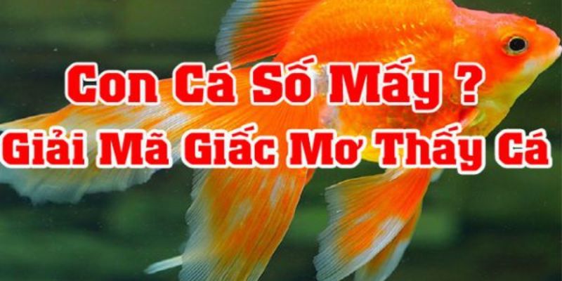 Mơ thấy động vật