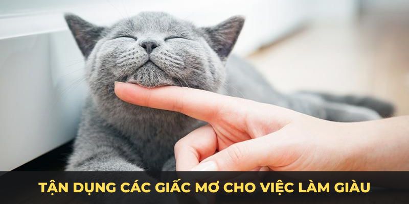 Đừng quên lắng nghe trực giác tận dụng các giấc mơ cho việc làm giàu